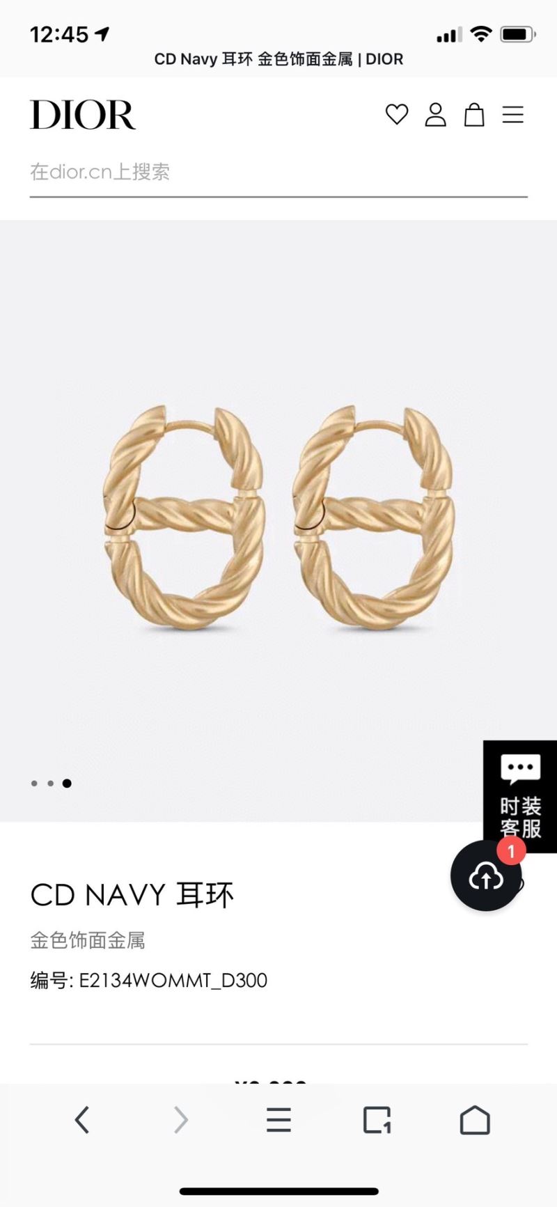 chr1st1an D10r earrings